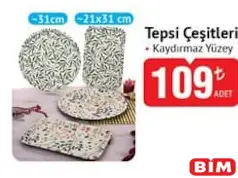 TEPSİ ÇEŞİTLERİ 31 CM/21X31 CM